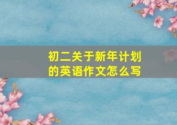 初二关于新年计划的英语作文怎么写