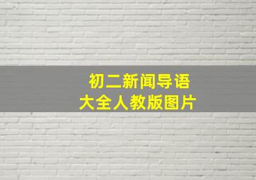 初二新闻导语大全人教版图片