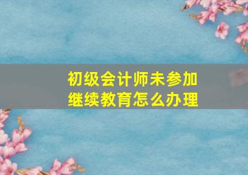 初级会计师未参加继续教育怎么办理