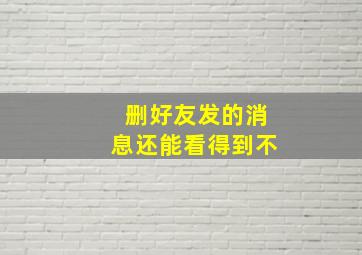 删好友发的消息还能看得到不