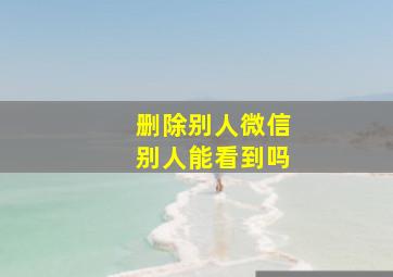 删除别人微信别人能看到吗