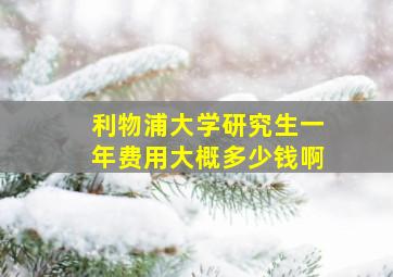 利物浦大学研究生一年费用大概多少钱啊