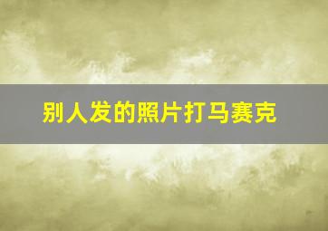 别人发的照片打马赛克