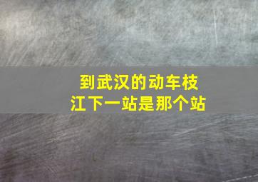 到武汉的动车枝江下一站是那个站