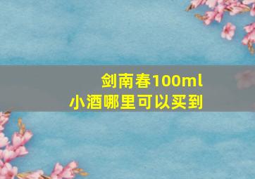 剑南春100ml小酒哪里可以买到