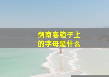 剑南春箱子上的字母是什么