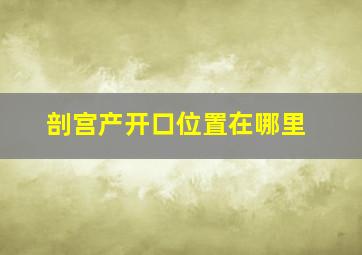 剖宫产开口位置在哪里