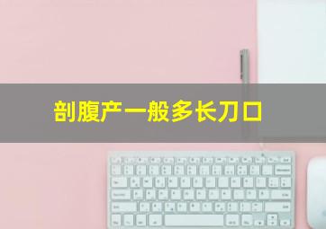 剖腹产一般多长刀口