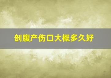 剖腹产伤口大概多久好