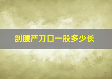 剖腹产刀口一般多少长