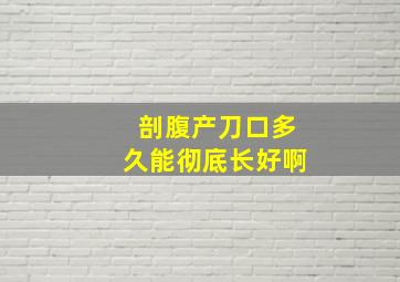 剖腹产刀口多久能彻底长好啊