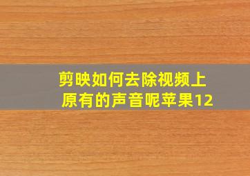 剪映如何去除视频上原有的声音呢苹果12