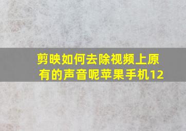 剪映如何去除视频上原有的声音呢苹果手机12