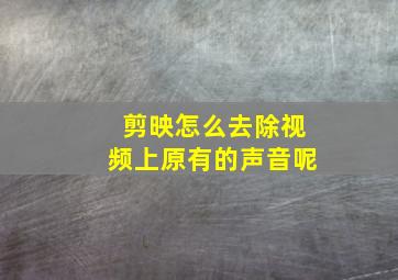 剪映怎么去除视频上原有的声音呢