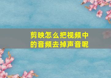 剪映怎么把视频中的音频去掉声音呢