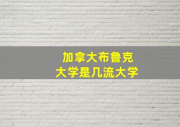 加拿大布鲁克大学是几流大学