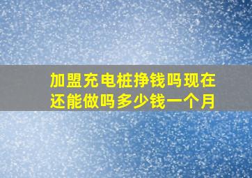 加盟充电桩挣钱吗现在还能做吗多少钱一个月