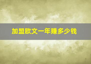 加盟欧文一年赚多少钱