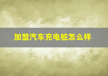 加盟汽车充电桩怎么样