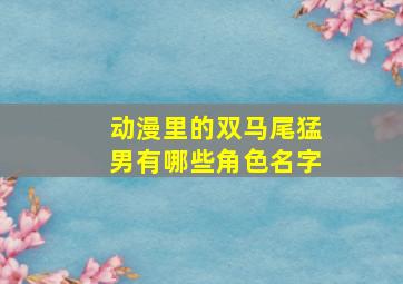 动漫里的双马尾猛男有哪些角色名字