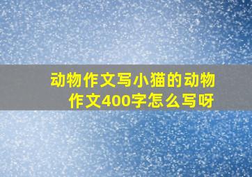 动物作文写小猫的动物作文400字怎么写呀