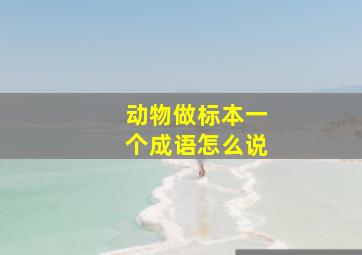 动物做标本一个成语怎么说