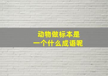 动物做标本是一个什么成语呢