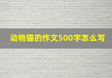 动物猫的作文500字怎么写