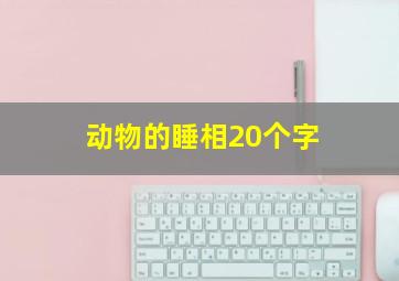 动物的睡相20个字