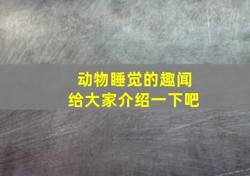 动物睡觉的趣闻给大家介绍一下吧