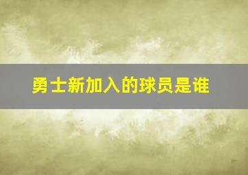 勇士新加入的球员是谁