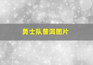 勇士队普洱图片