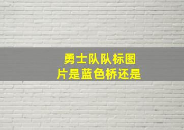 勇士队队标图片是蓝色桥还是