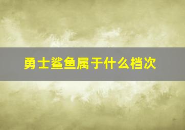 勇士鲨鱼属于什么档次