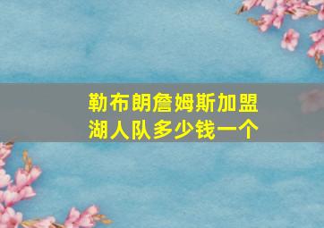 勒布朗詹姆斯加盟湖人队多少钱一个