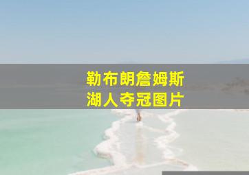 勒布朗詹姆斯湖人夺冠图片