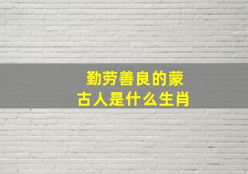 勤劳善良的蒙古人是什么生肖