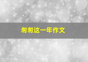 匆匆这一年作文