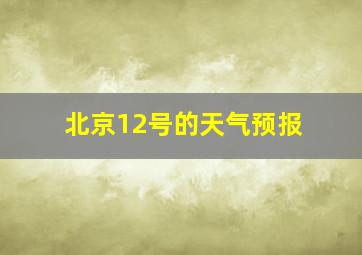 北京12号的天气预报