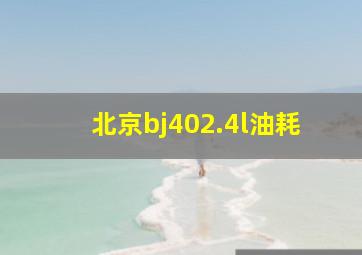 北京bj402.4l油耗