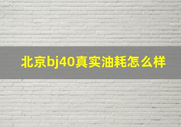 北京bj40真实油耗怎么样