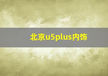 北京u5plus内饰