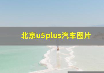 北京u5plus汽车图片