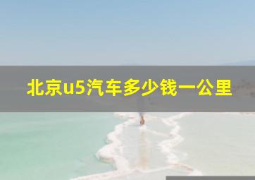 北京u5汽车多少钱一公里