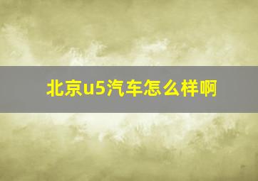 北京u5汽车怎么样啊