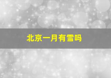 北京一月有雪吗