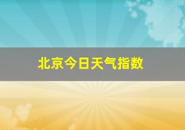 北京今日天气指数