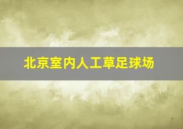 北京室内人工草足球场