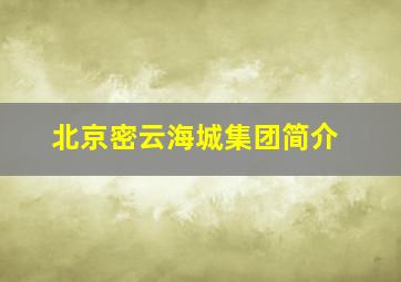 北京密云海城集团简介