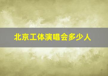 北京工体演唱会多少人